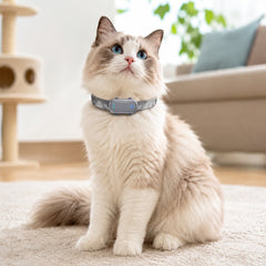 Aussi pour les chats